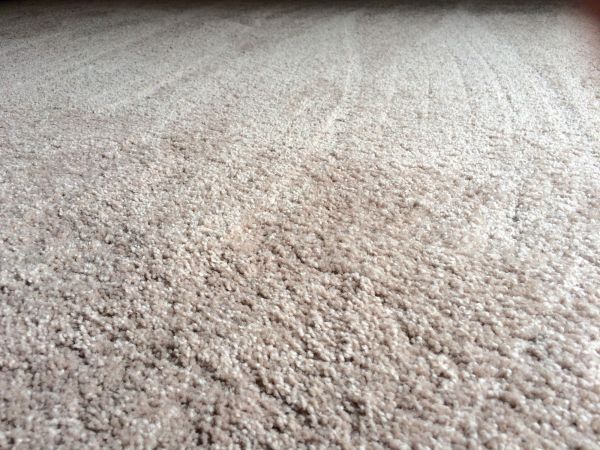 Plush Carpet Installation in Saint Charles