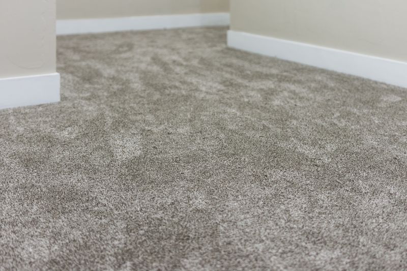 Completed Carpet Service