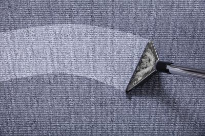 Professional Carpet Technicians